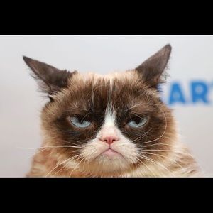 Meet your Posher, Charles